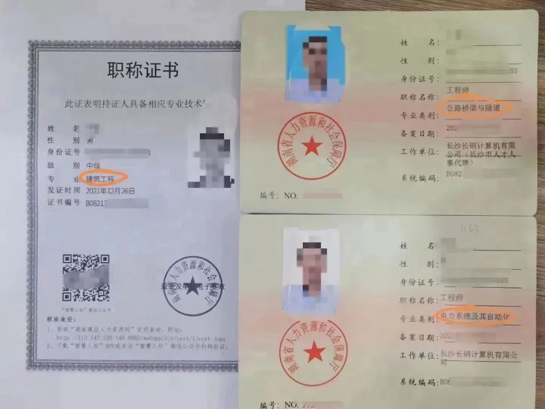 2025年林业工程师职称有哪些专业可以报考？